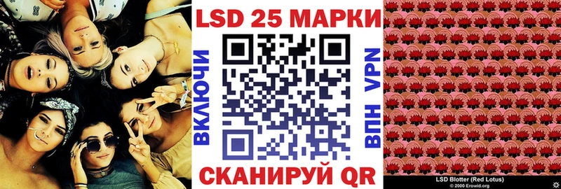 где купить наркотик  Лесозаводск  Марки N-bome 1500мкг 