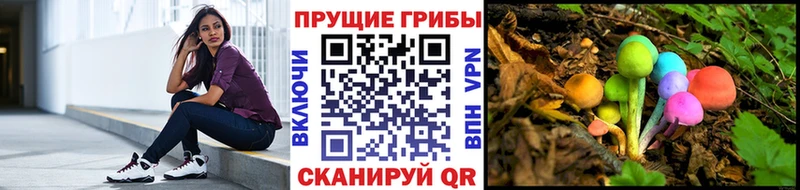 Галлюциногенные грибы мицелий  закладки  Лесозаводск 