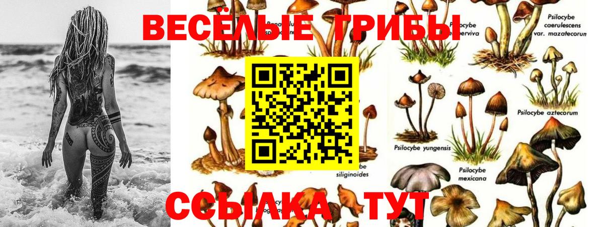 Псилоцибиновые грибы Psilocybine cubensis  Вход с VPN  Лесозаводск 