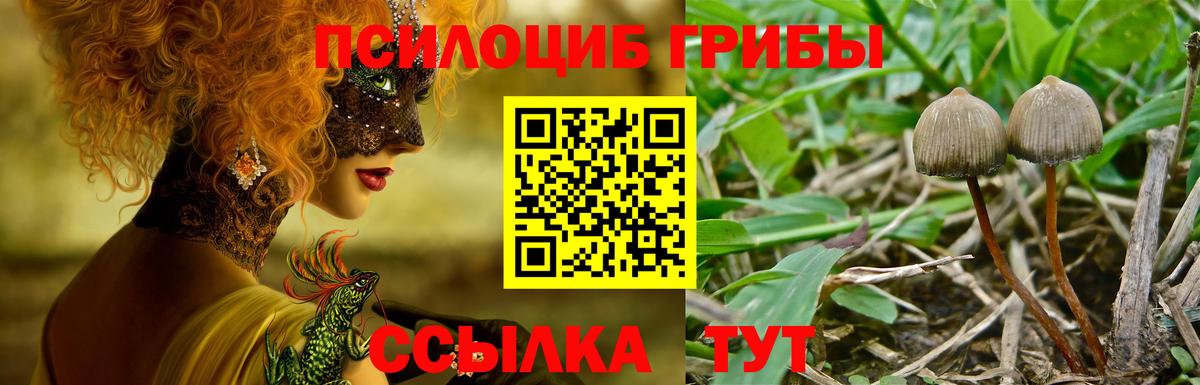 Галлюциногенные грибы Magic Shrooms Лесозаводск